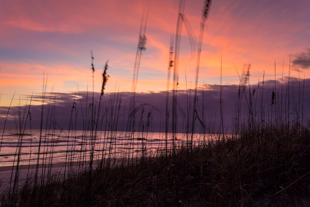 Tall grasses frame a serene beach scene during sunset, with a gradient of soft pastel colors filling the sky. Gentle waves shimmer in the fading light, creating a peaceful atmosphere as the day transitions into evening.