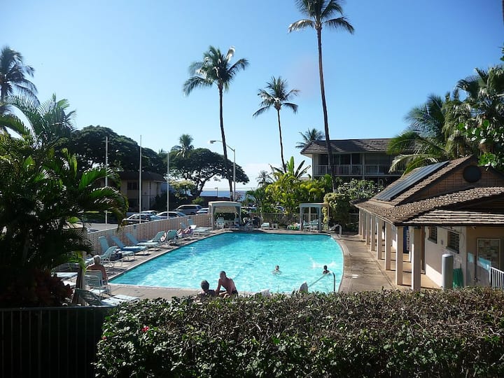 Maui Condo across fm Kam II beach Apartments for Rent in Kihei