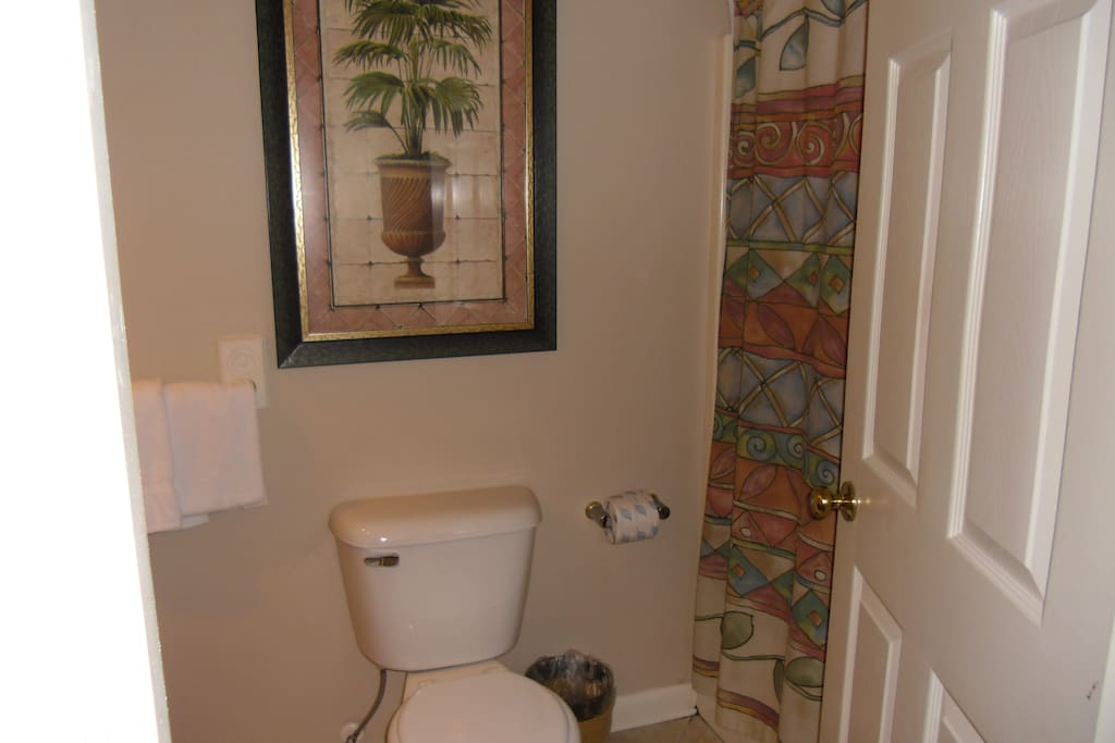 Guest bathroom