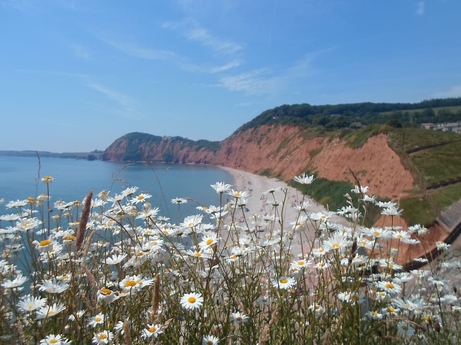 Stunning Sidmouth 5 miles away