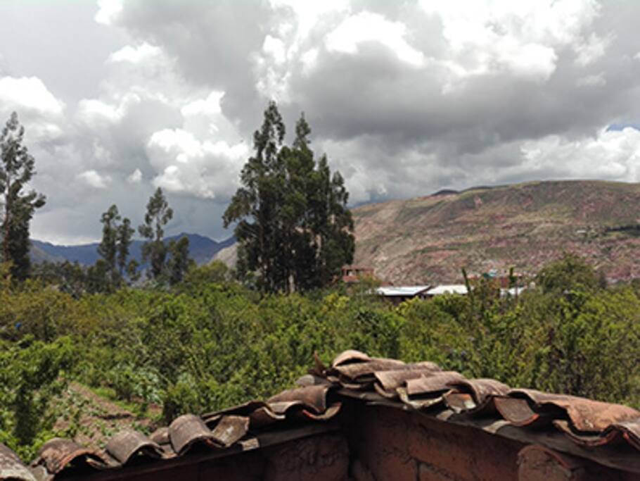 Vista desde la habitación familiar