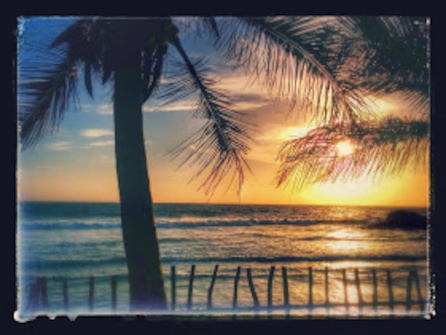 Sunset view from garden