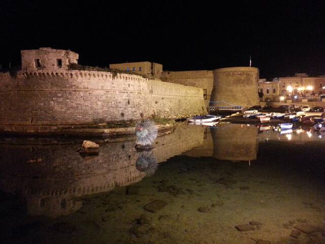 GALLIPOLI VILLA CON GIARDINO ZONA CENTRALE gallery image 2