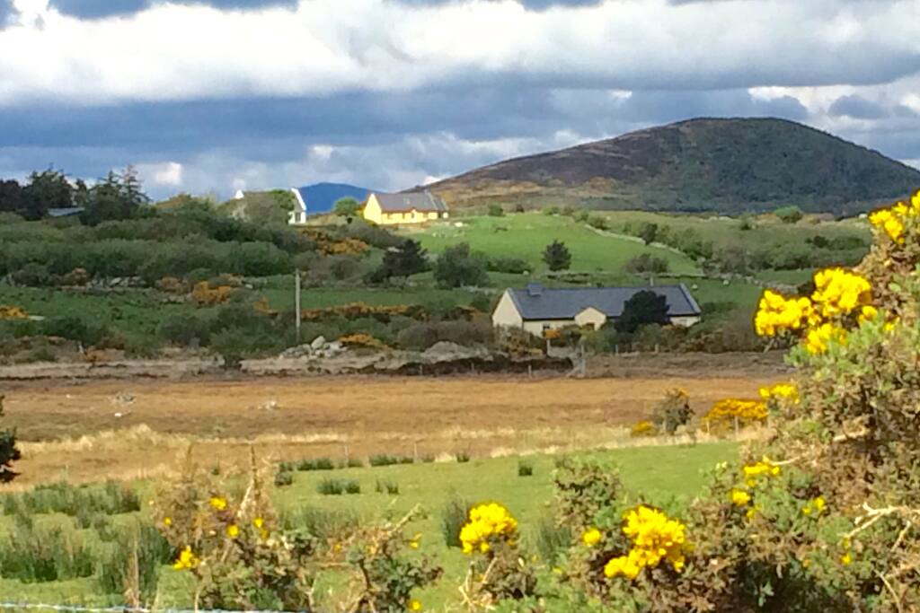 Our house nestled in the foothills and its immediate surroundings