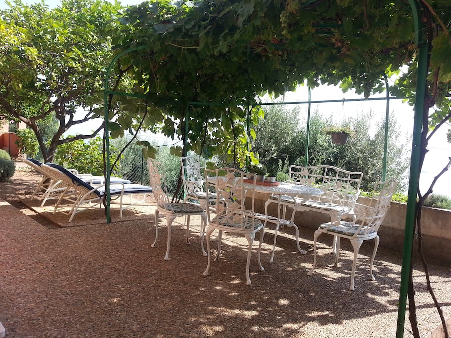 Terrasse et jardinet privatifs