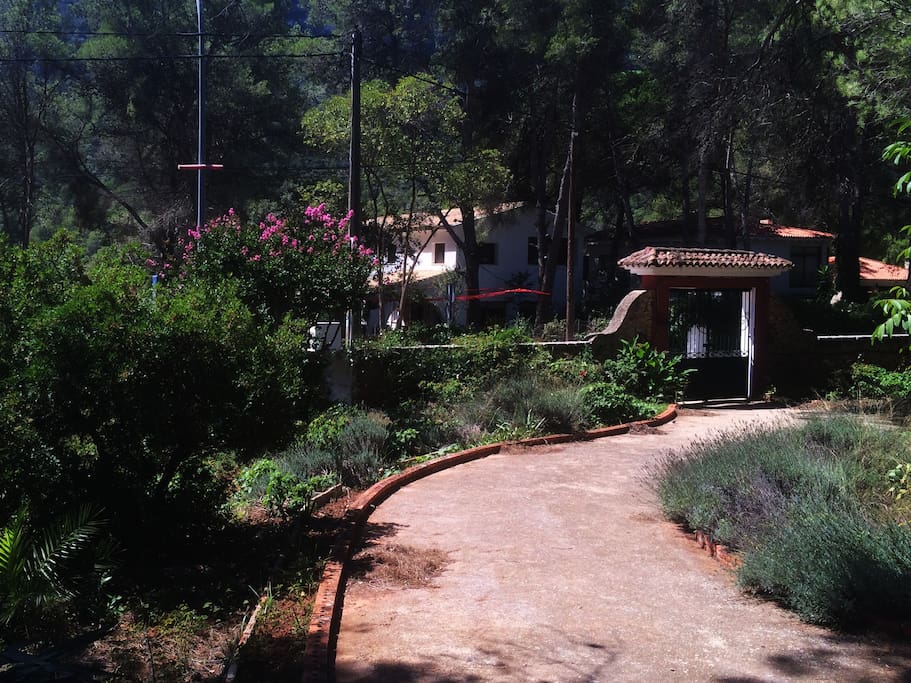 Jardín mediterráneo