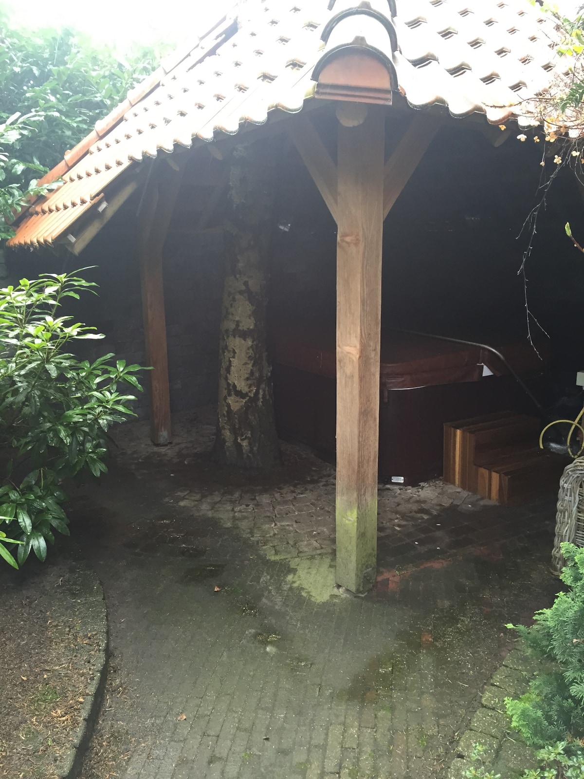 A covered area within a lush garden showcases a jacuzzi under a wooden structure. The surrounding greenery includes various shrubs and trees, contributing to a peaceful ambiance, while a pathway leads towards the entrance of the space.