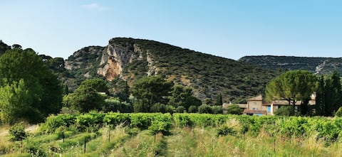 Terrace apartment at the foot of the Luberon Lourmarin