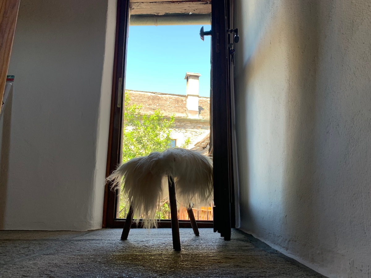 A view from inside showcases a fluffy stool positioned near an open door, allowing natural light to flood the space. Outside, a glimpse of greenery and a neighboring building is visible against a clear blue sky.