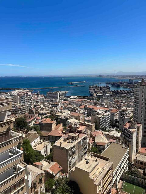 View of central Algiers Bay