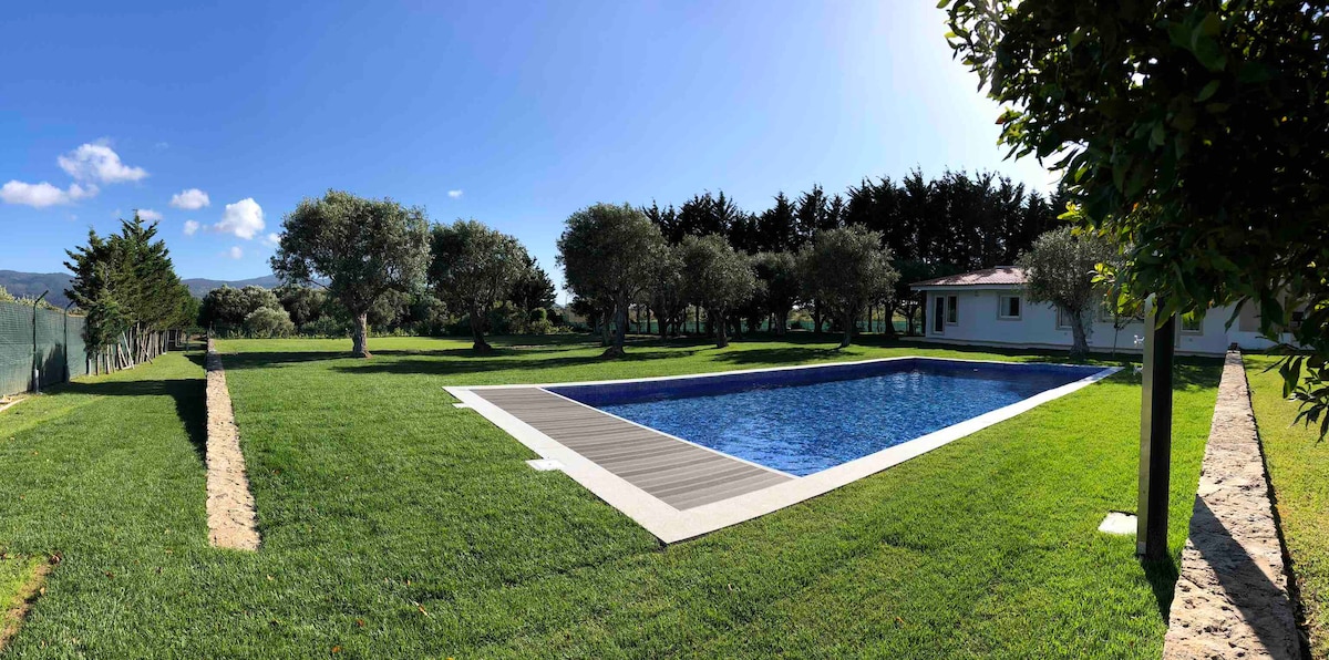 A serene outdoor area is depicted, featuring a clear swimming pool bordered by a wooden deck. Lush green grass surrounds the pool, complemented by olive trees scattered in the background. A bright blue sky completes the tranquil atmosphere of the space.