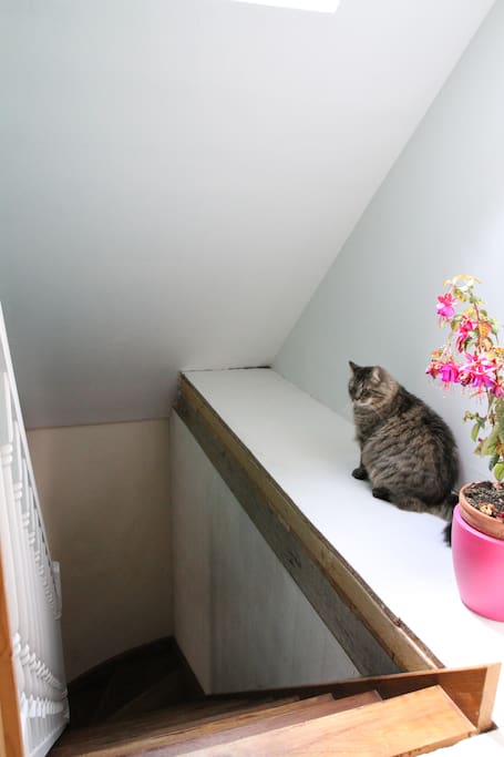 Escalier qui mène à l'étage