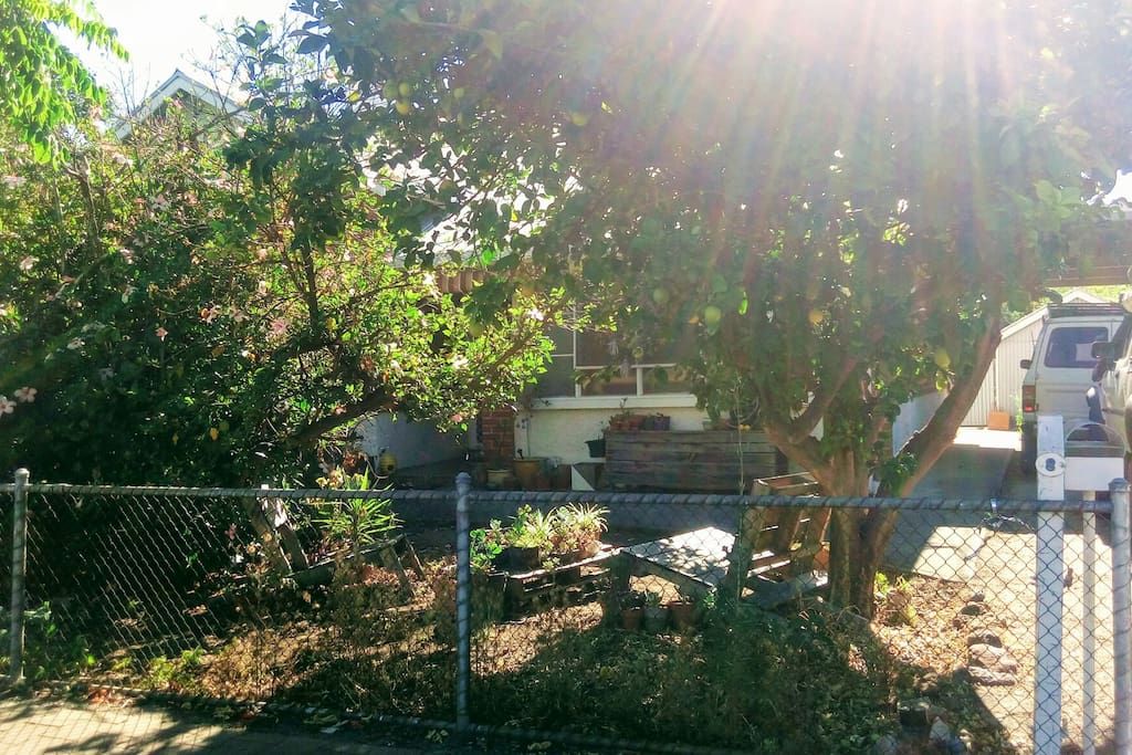 hour home; if you see lemons on the grounds & pots full of cacti then your in the right spot