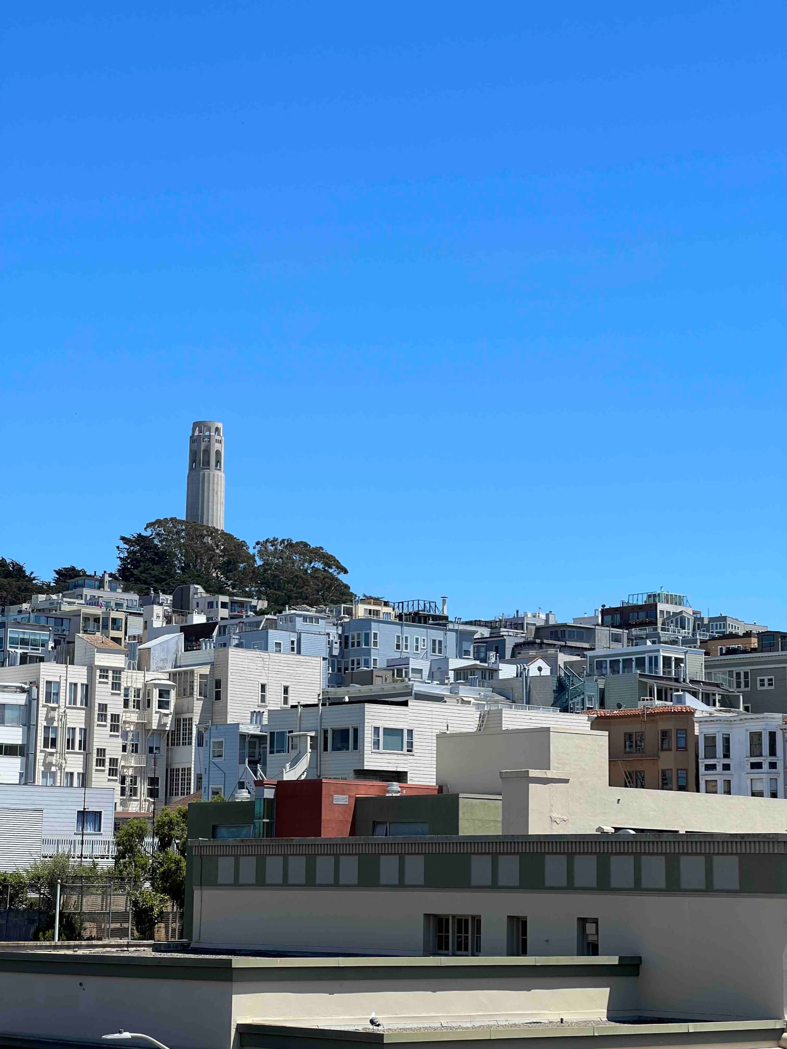 Condo in San Francisco · ★4.96 · 3 bedrooms · 3 beds · 2 baths - Image 34