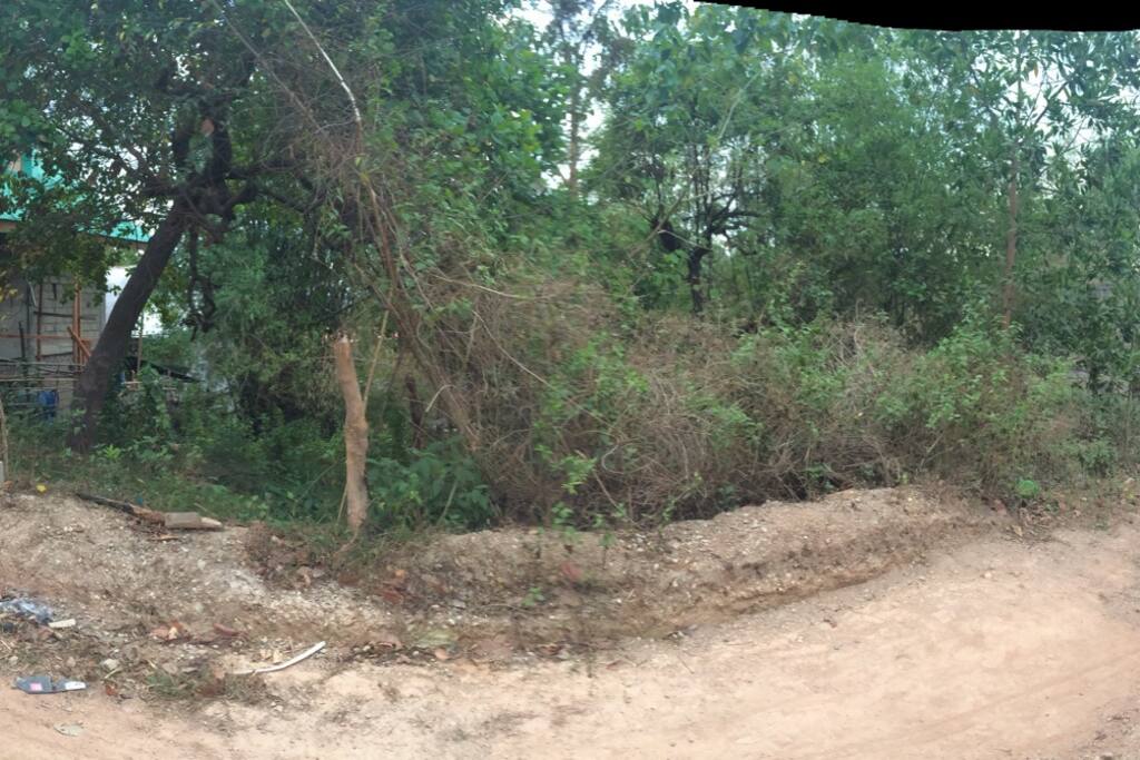 WAY UP TO THE CASA ELLAISA FROM MAIN ROAD