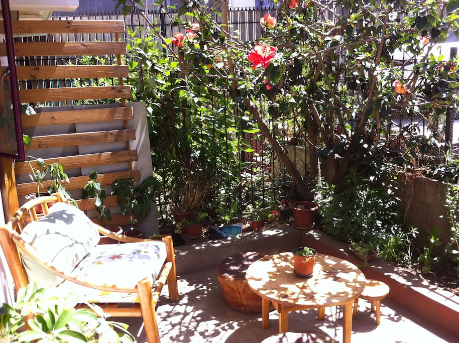 Luminoso Patio. Bright Yard.