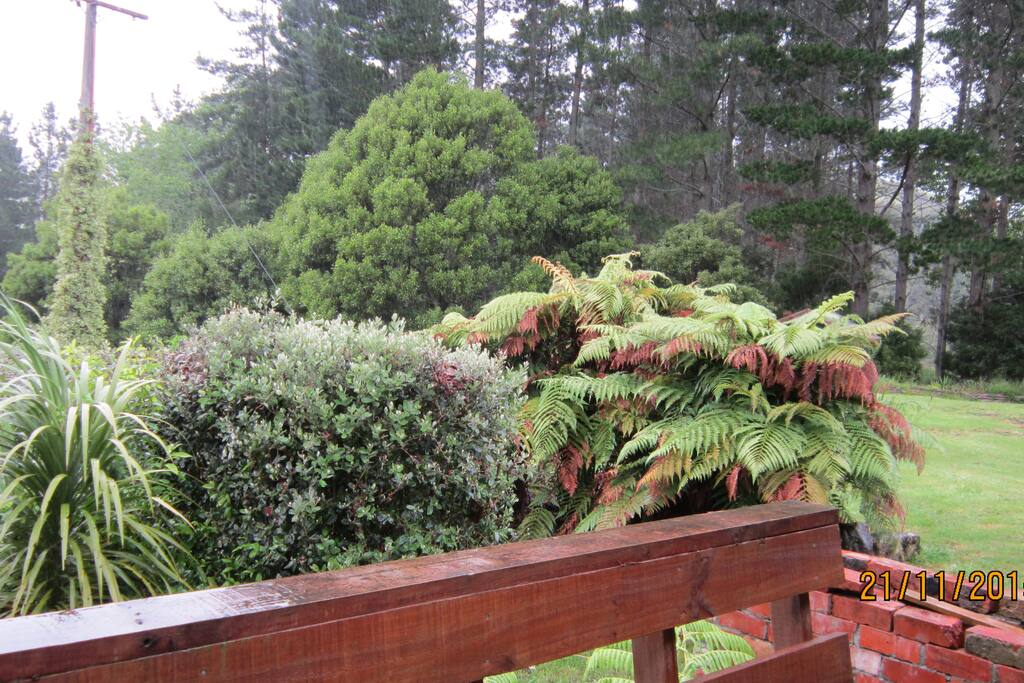 Front garden