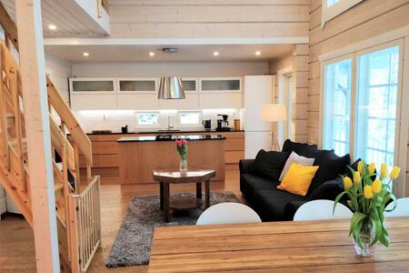 Villa Rautjärvi (Free transport from Mikkeli)