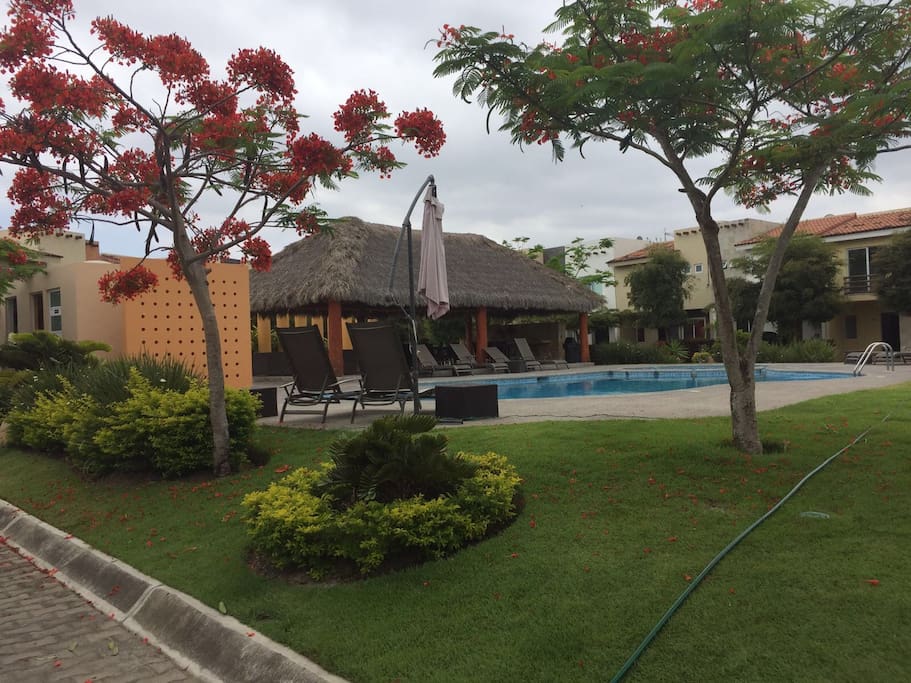 Pool Area