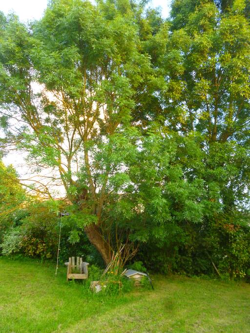 un petit coin de jardin