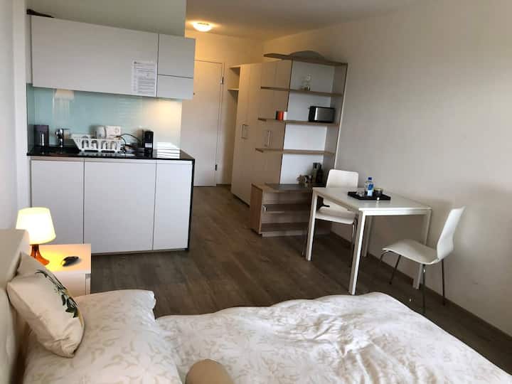 10 Best LongTerm Rentals In Zürich, Switzerland Updated 2024 Trip101