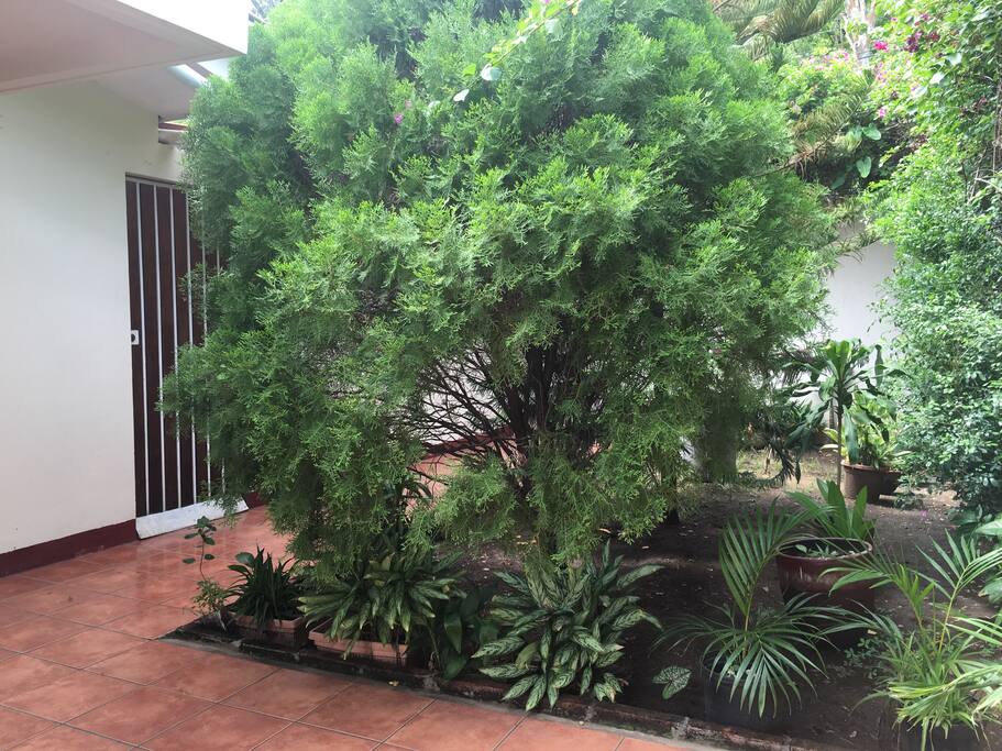 Entrada de tu habitación en Managua