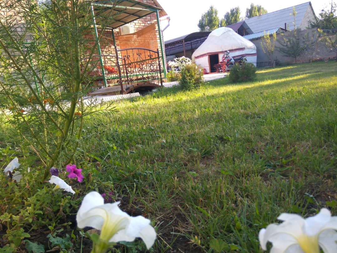 A lush green garden is depicted, with colorful flowers in the foreground. In the background, a traditional yurt is visible alongside a charming patio area. Natural light illuminates the space, enhancing the serene outdoor environment.