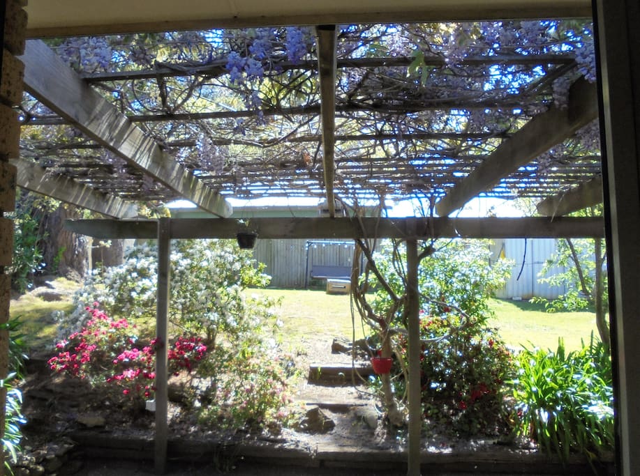 Back Garden from Kitchen Window