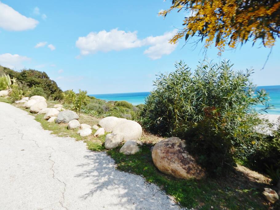 Seaside Road