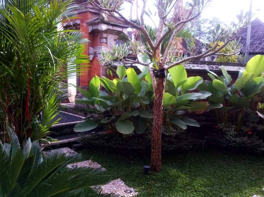 Front of the house