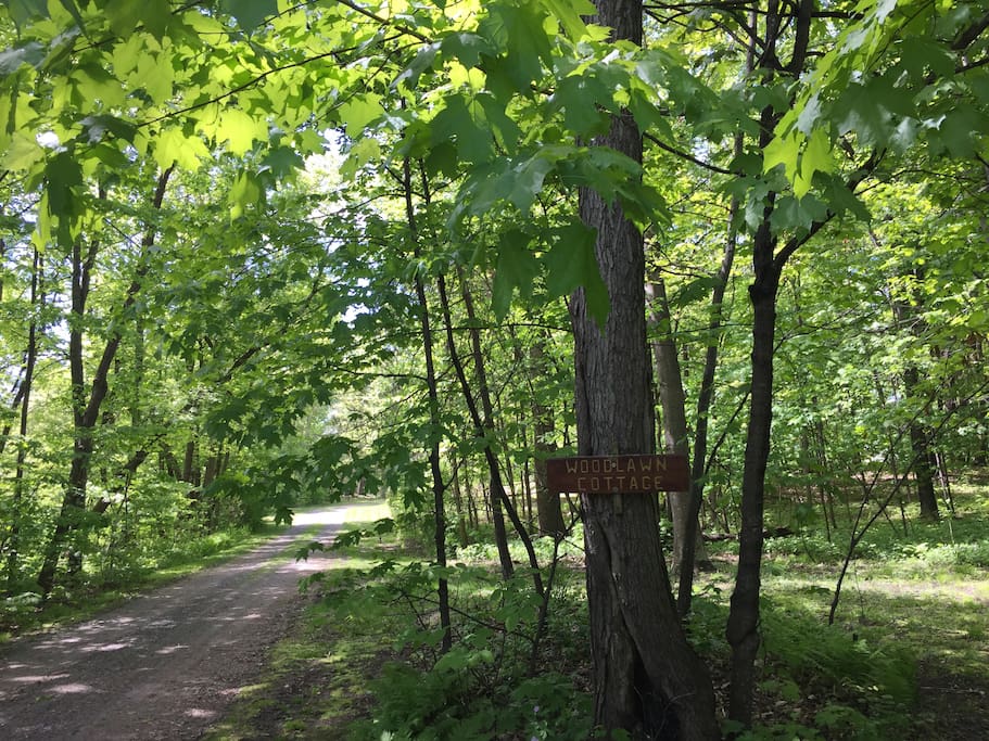 Private driveway leading to the cottage.