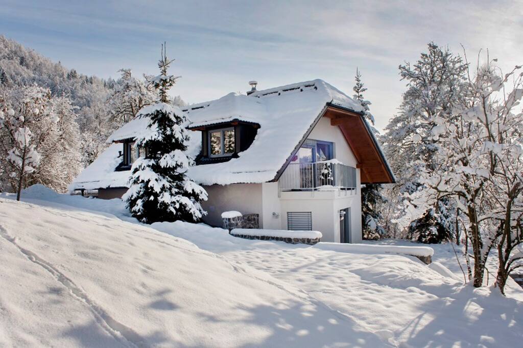 The house in winter....