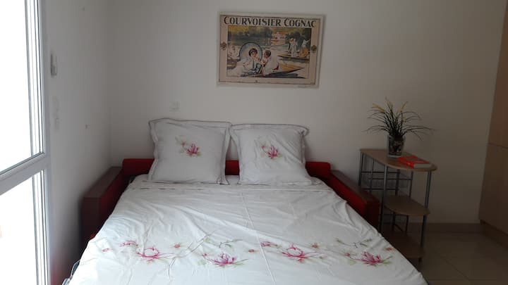 Გასაშლელი დივანი 160 x 200 სმ