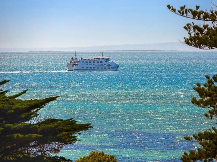 Top 17 Airbnb Vacation Rentals In Queenscliff, Australia Updated 2024