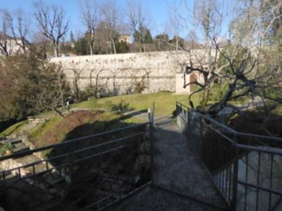 GIARDINO