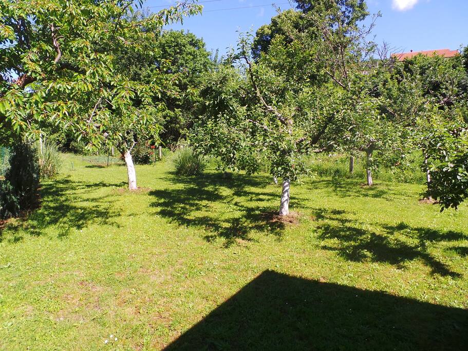 Garten