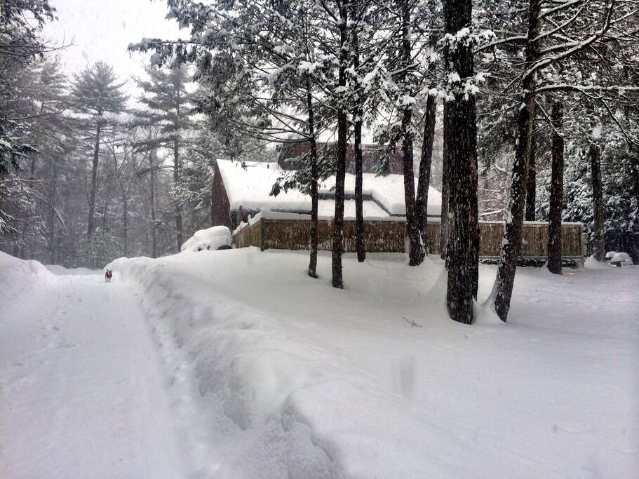 A wintry view of the back of the house from the bottom of the driveway.
