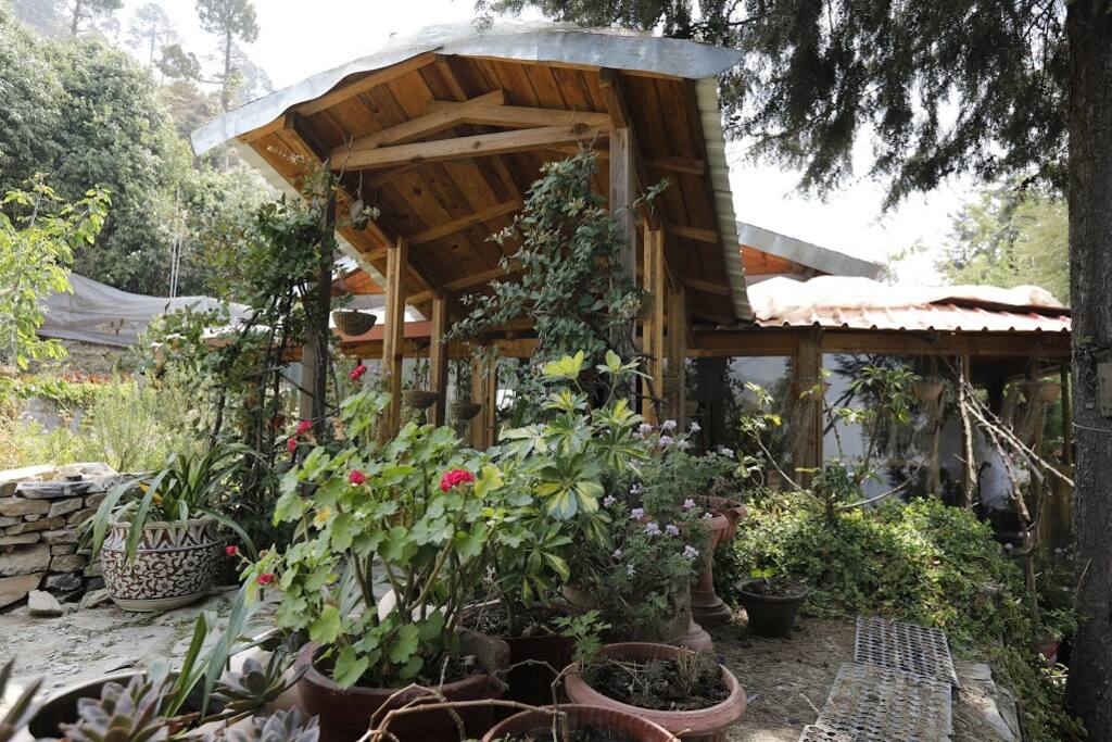 Chalet Exterior
