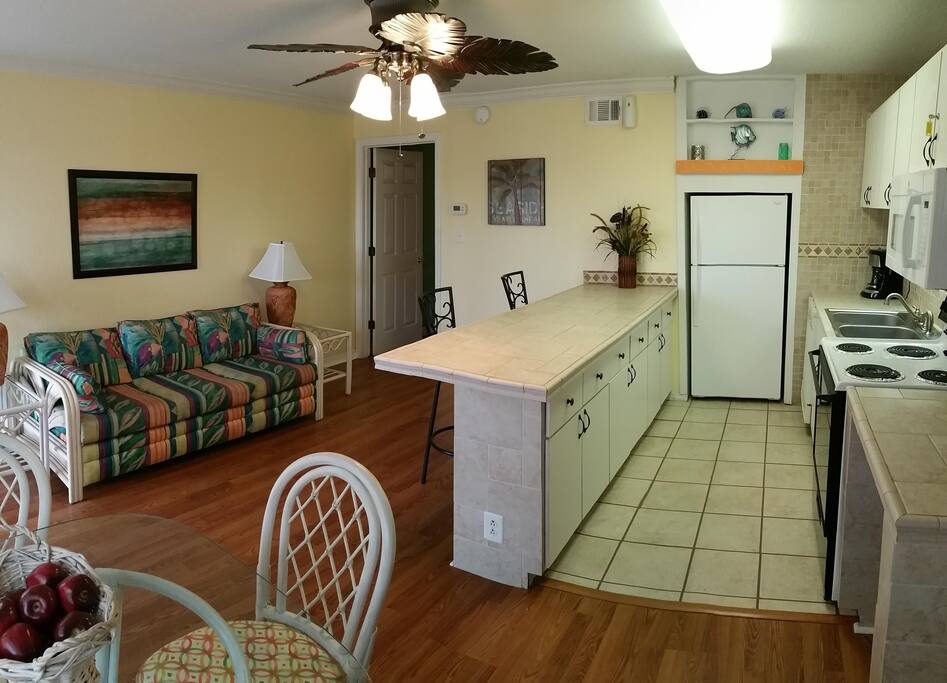 Living room/sleeper sofa/kitchen/breakfast bar