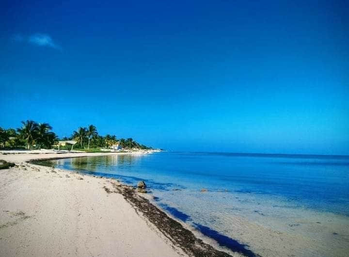 A serene beach view is presented, showcasing soft, golden sand leading into calm, bright blue waters. Lush palm trees line the shore, with a clear sky above, enhancing the tranquil atmosphere of the coastal landscape.