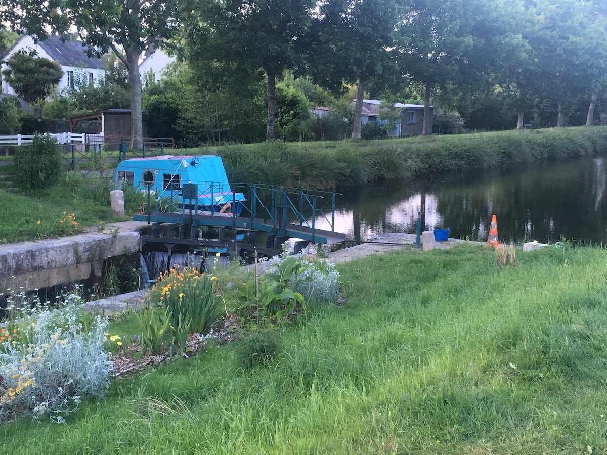 A serene riverside scene features a calm stretch of water reflecting the surrounding greenery. A blue barge is docked at a small jetty, complemented by a grassy area adorned with flowers. Trees line the banks, offering a sense of tranquility.