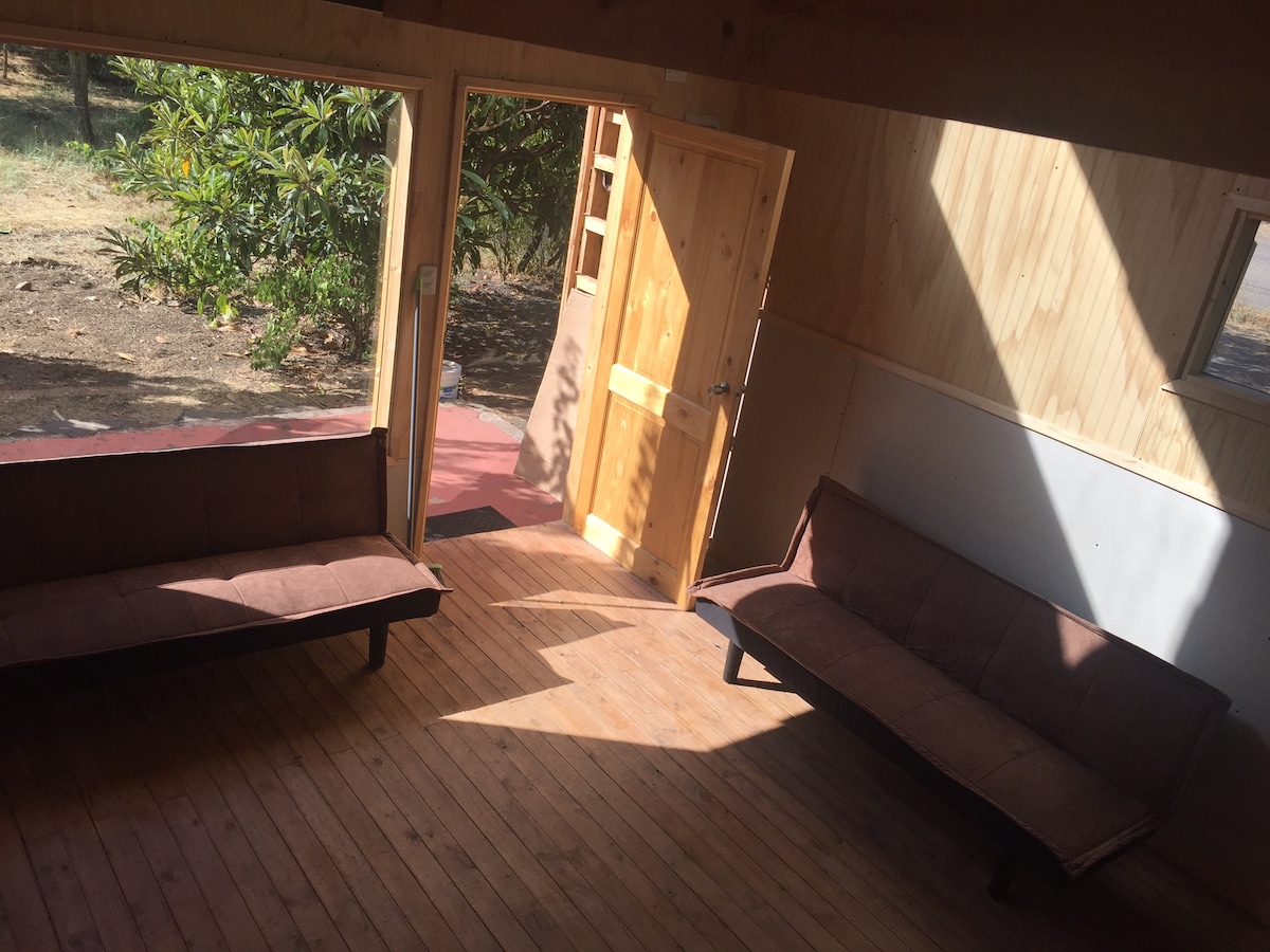 The living area features two futons positioned on a wooden floor. Natural light floods the space through large windows and a door leading to the outdoors, highlighting the wooden interior and creating a bright, open atmosphere.