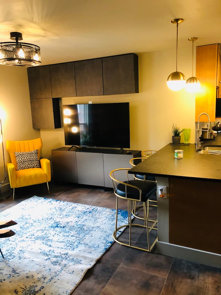 Studio Apartment in the heart of Soulard. Guest suites for Rent in St