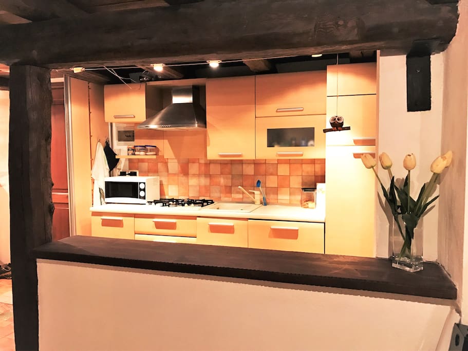 Cucina accessoriata con fuochi, lavastoviglie, frigo e freezer, forno a microonde..