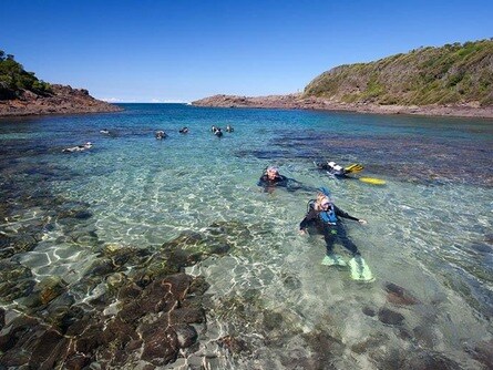 Several individuals are seen snorkeling in clear turquoise waters surrounded by rocky coastal formations. Sunlight reflects off the surface, creating a sparkling effect. The lush green hillside borders the scene, enhancing the natural beauty of the area.