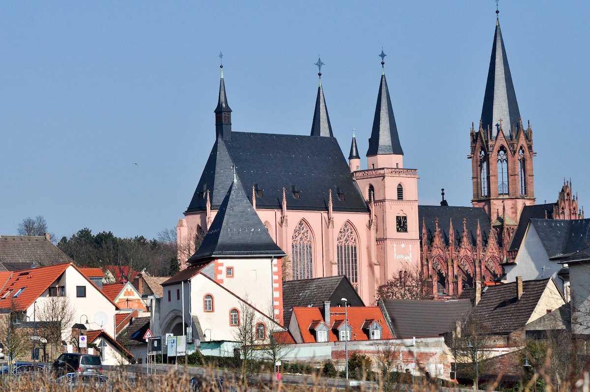 A view of the historic architecture is captured, showcasing a pink church with intricate Gothic features and tall spires, surrounded by traditional buildings with terracotta roofs. A clear blue sky complements the scene, creating a serene backdrop for the charming town.