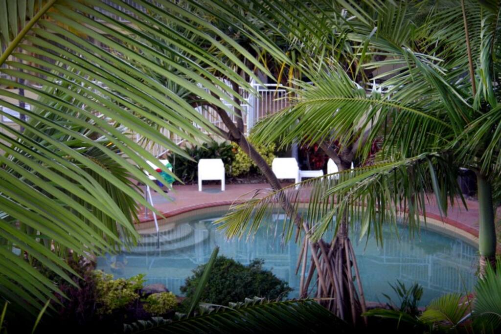 Heated pool