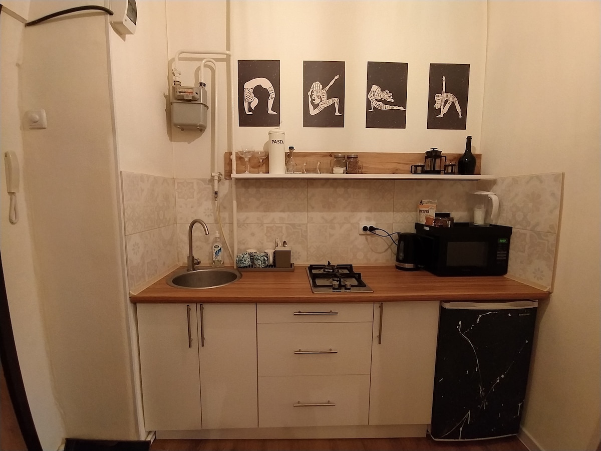 A compact kitchen area features a gas stove, a sink, and a microwave. White cabinetry is complemented by a wooden countertop. Above, art prints add a decorative touch, while general kitchen items are neatly arranged on the shelves. The floor displays light wood flooring.