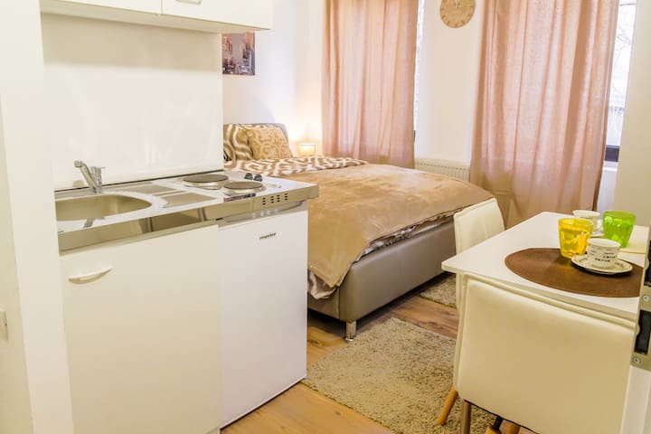 Apartment Nikola Tesla street (Main square)2