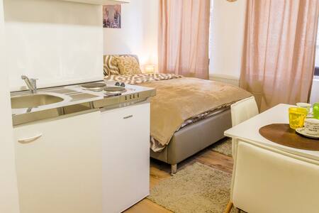 Apartment Nikola Tesla street (Main square)2